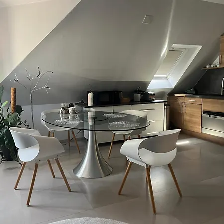 Strasbourg Apartmán *