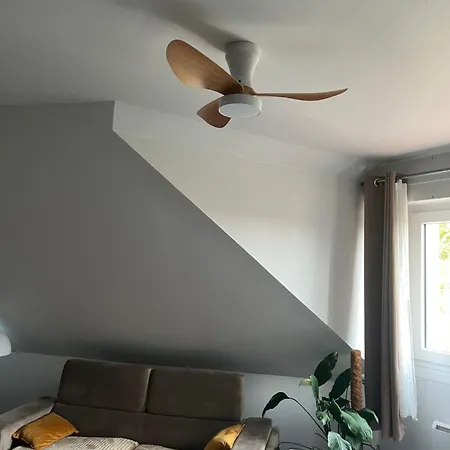 Strasbourg Apartmán *